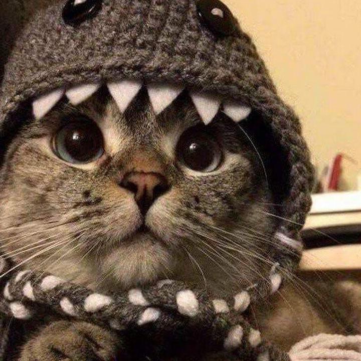 Haveyona23 Haveyona23